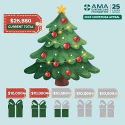 christmas appeal update ama queensland foundation 