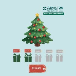 2025 Christmas Appeal donations update November