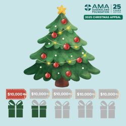 mental health and suicide prevention ama queensland foundation christmas appeal